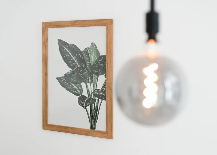 Appartement Maison De Fashion Budapest